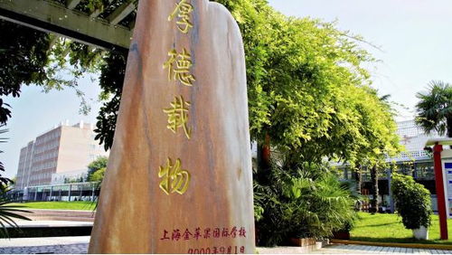 中考必看 新加坡nafa艺术课程 直通伦艺 火爆全上海