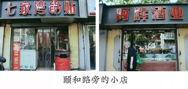 南京6天暑期课回顾丨伦艺,不过如此