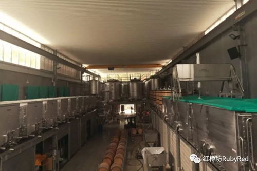 公告 红樽坊正式代理澳大利亚雅拉谷精品酒庄 天使之梯酒庄 giant steps