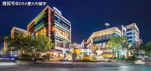 北大资源文化意嘉艺国际教育 eiea意大利留学 2020寒假开启意大利语班级招生