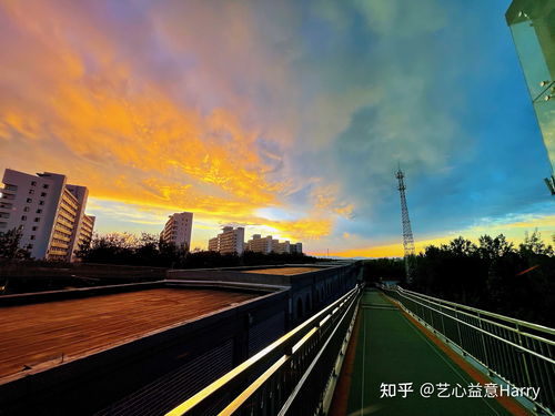艺心益意