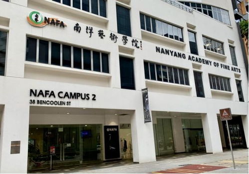中考新选择 新加坡NAFA艺术课程直通伦艺，意伦艺坊火爆上海教育圈